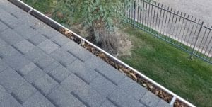 commercial gutter cleaning